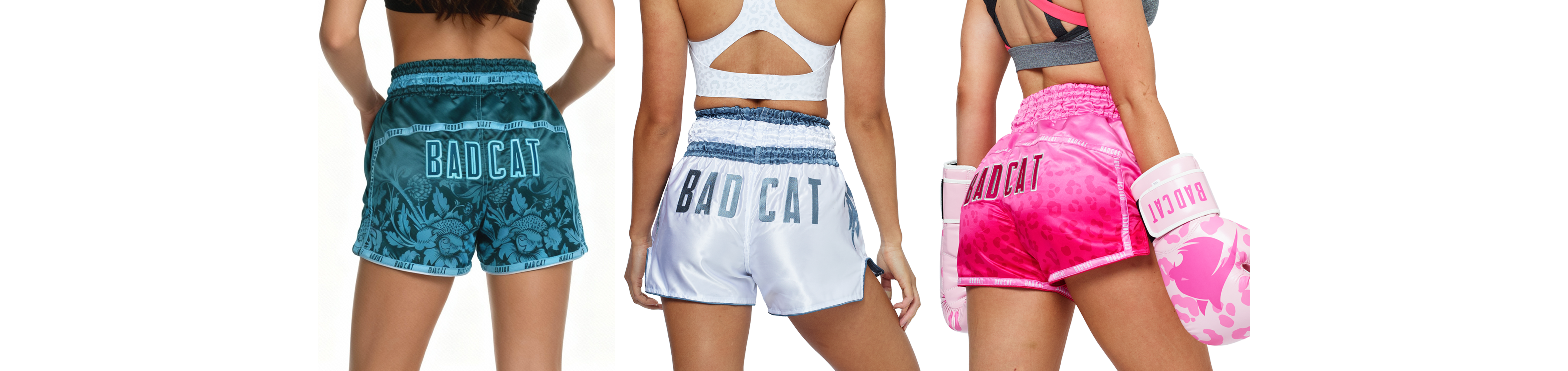The Ultimate Guide to BAD CAT Fight Shorts