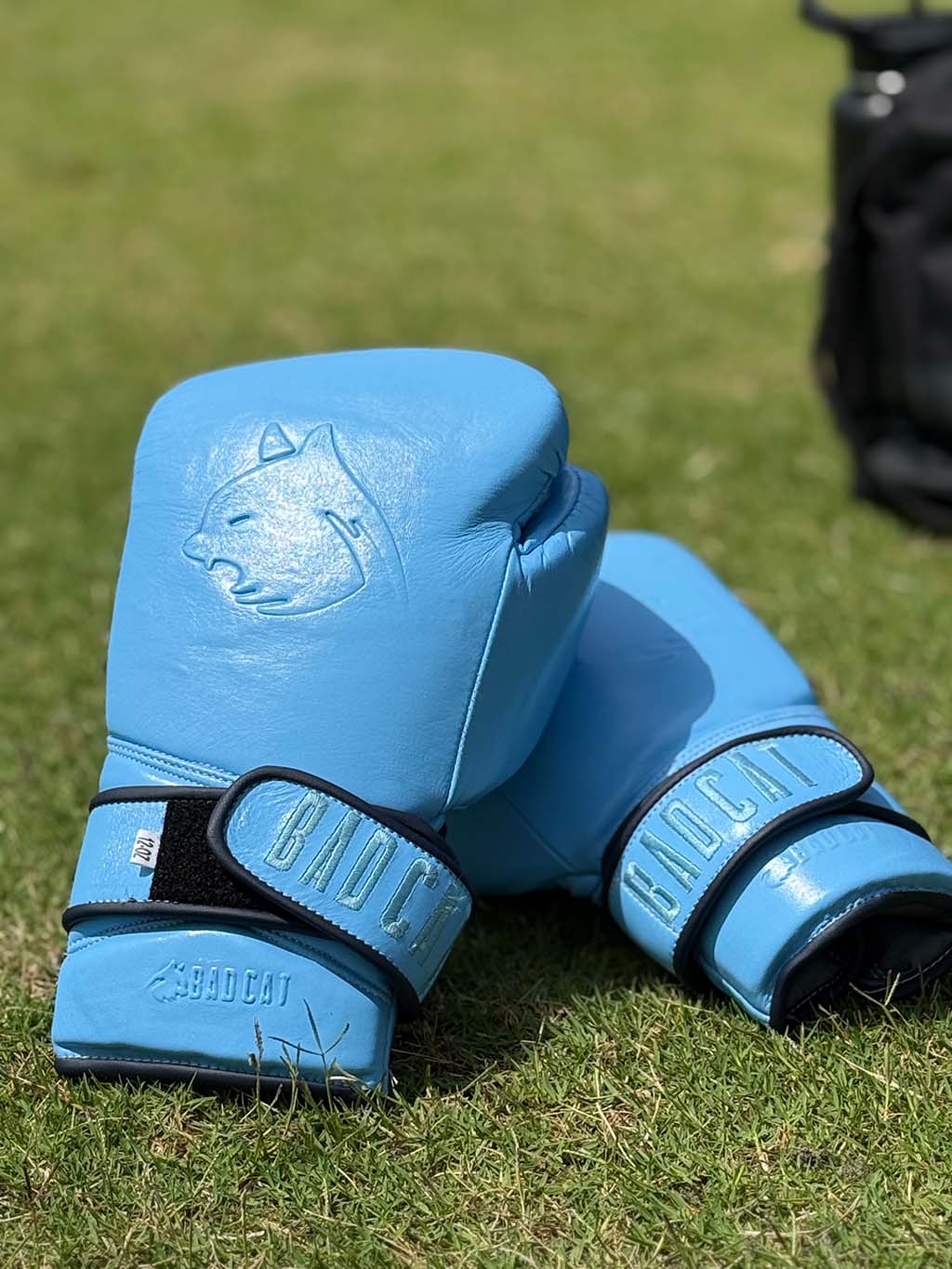 Blue boxing gloves on grass with a blurred background