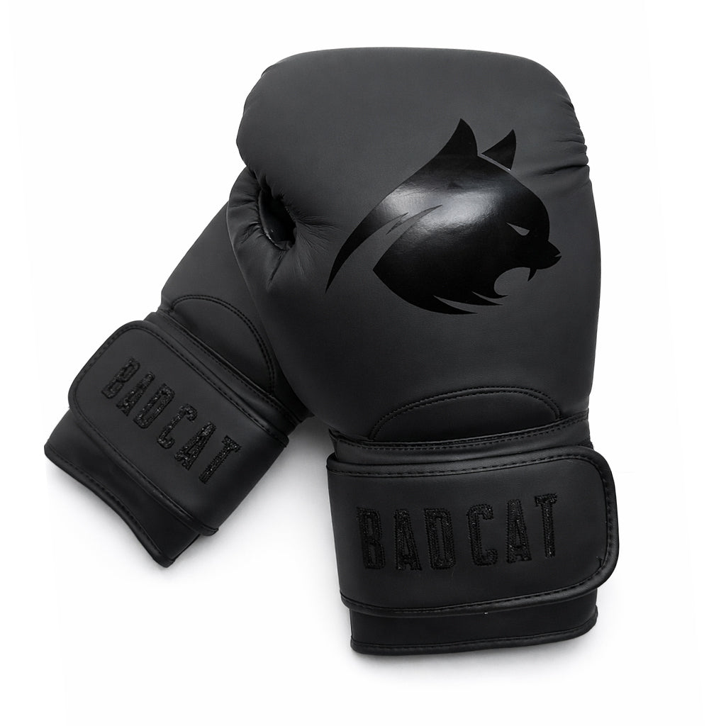 Eclipse Boxing Gloves