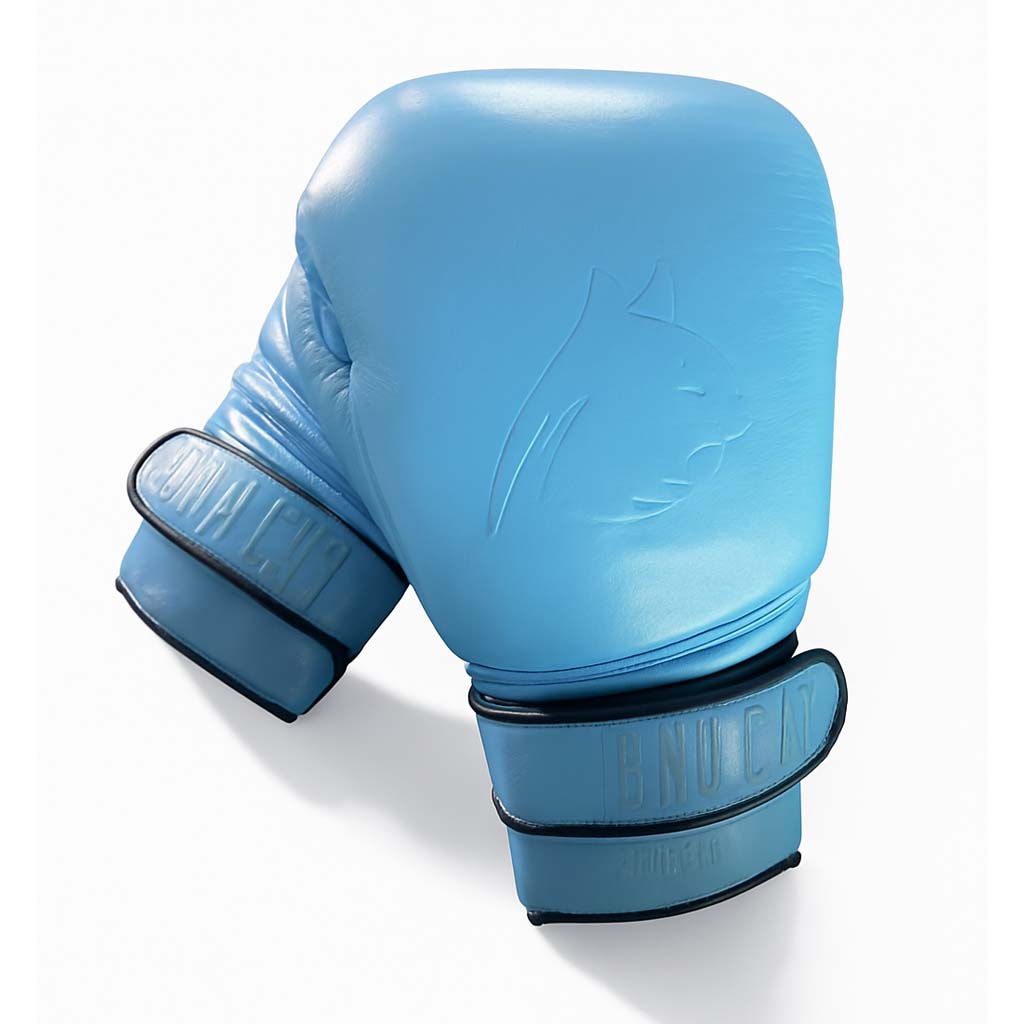 Blue boxing glove on a white background
